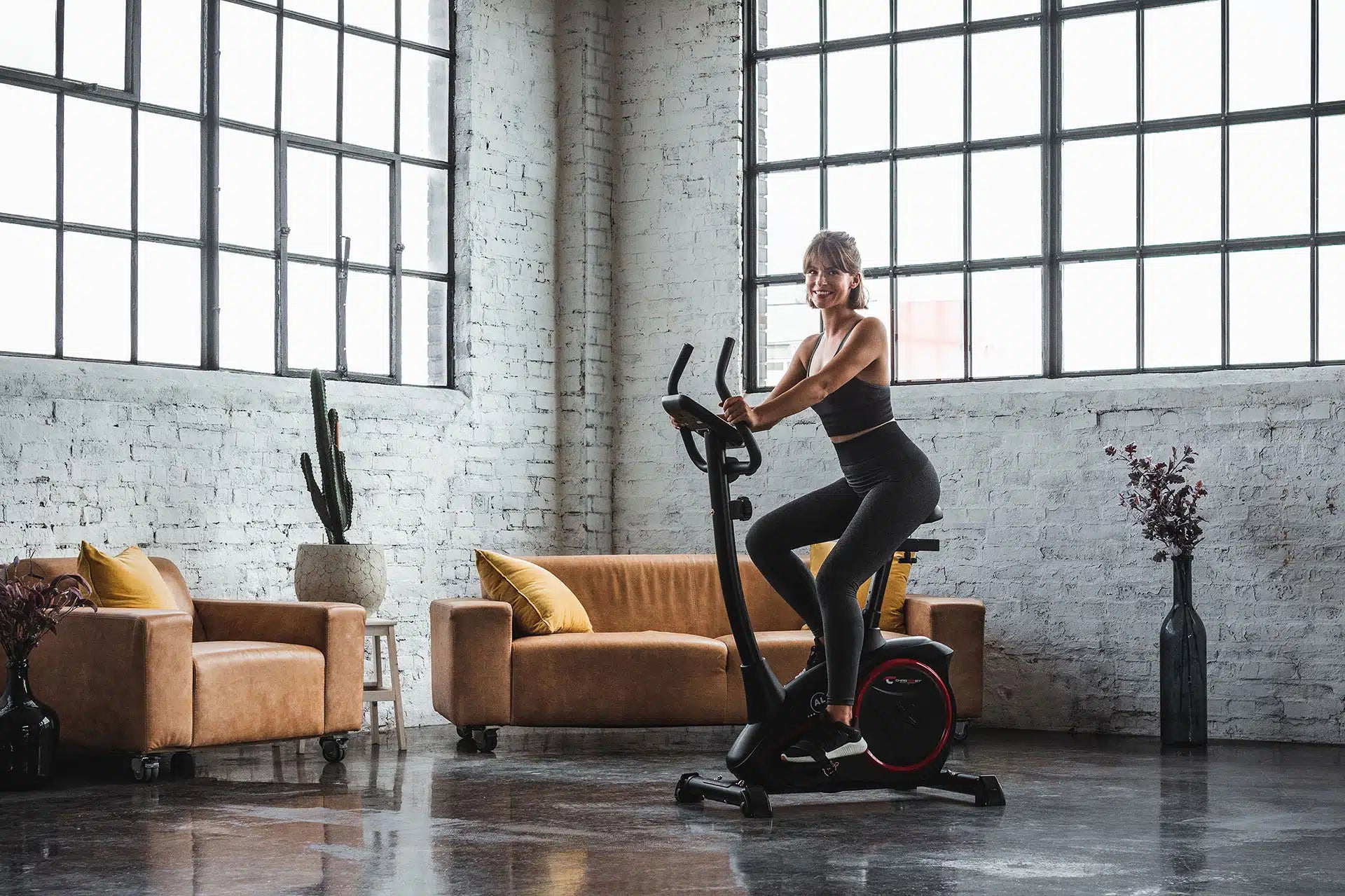 Heimtrainer AL 1, neuer Computer